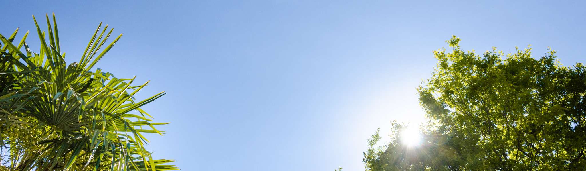 20150507094132-_DSC1972